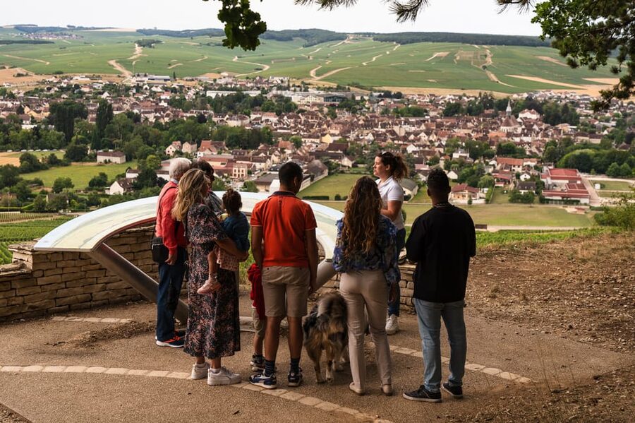 Chablis: Visit of the Grand Cru vineyard - Who should book this Chablis Grand Cru tour?
