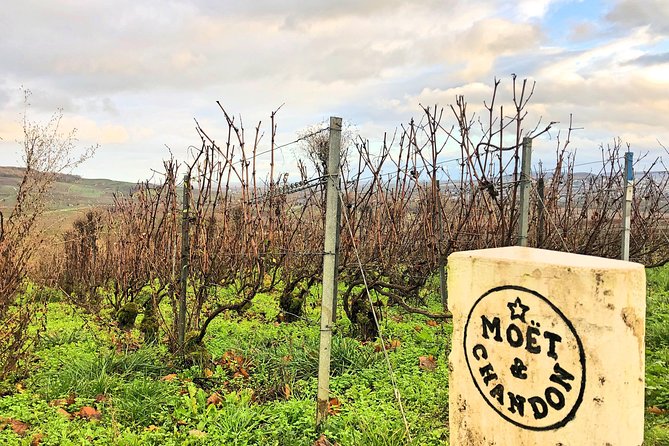 Champagne Area Small-Group Tour including a Top Champagne house & Family Winery - A Full-Day Champagne Excursion: Why It Works (and Why It’s Long)