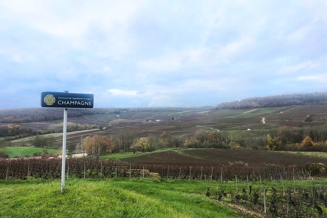 Champagne Area Small-Group Tour including a Top Champagne house & Family Winery - Price and Value: What $322.34 Really Buys You