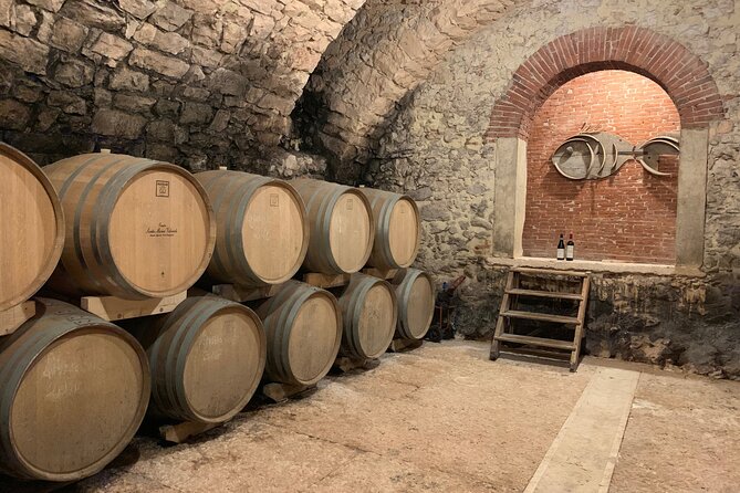 Champagne Experience at a Boutique Winery - The flow of the visit: private tasting, then terrace time if you want it