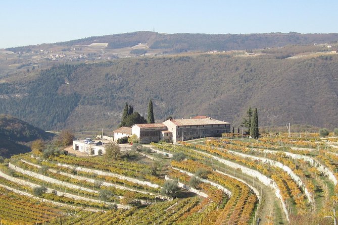 Champagne Experience at a Boutique Winery - Price and value: what $115.68 is really paying for