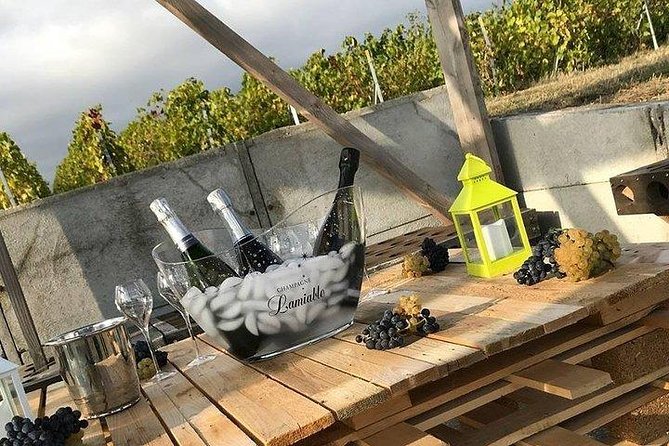 Champagne Lamiable: Stroll and taste in the Grand Cru Champagne vineyard - Key highlights worth planning for