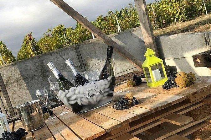Champagne Lamiable: Stroll and taste in the Grand Cru Champagne vineyard - Why the small group and English guide make this feel better