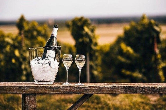 Champagne Lamiable: Stroll and taste in the Grand Cru Champagne vineyard - Should you book Champagne Lamiable?