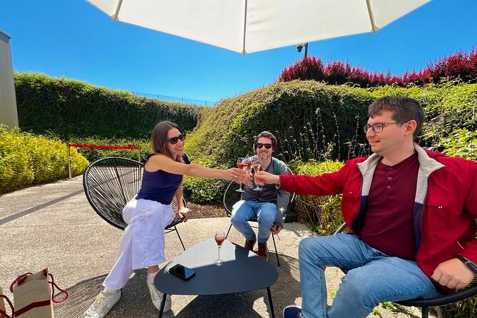 Champagne Picnic and Tasting on Vineyard. Private Tour from Paris - Key things I’d plan for