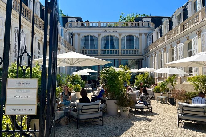 Champagne Picnic and Tasting on Vineyard. Private Tour from Paris - Champagne day trips from Paris, minus the hassle