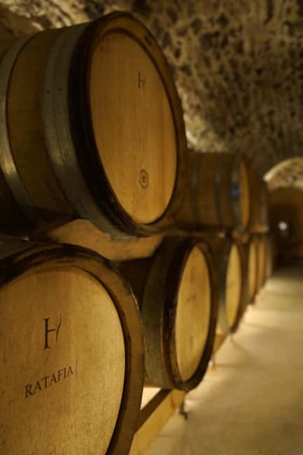 Champagne Vineyard Experience: Delve into the terroir - Oldest vines and terroir: organic viticulture you can see
