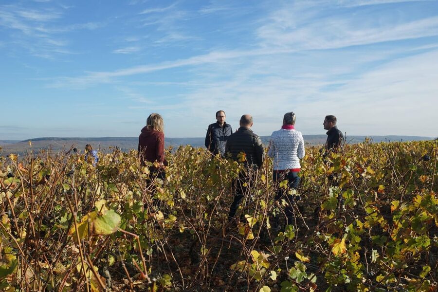 Champagne Vineyard Experience: Delve into the terroir - Historic cellar secrets: how the estate explains Champagne-making