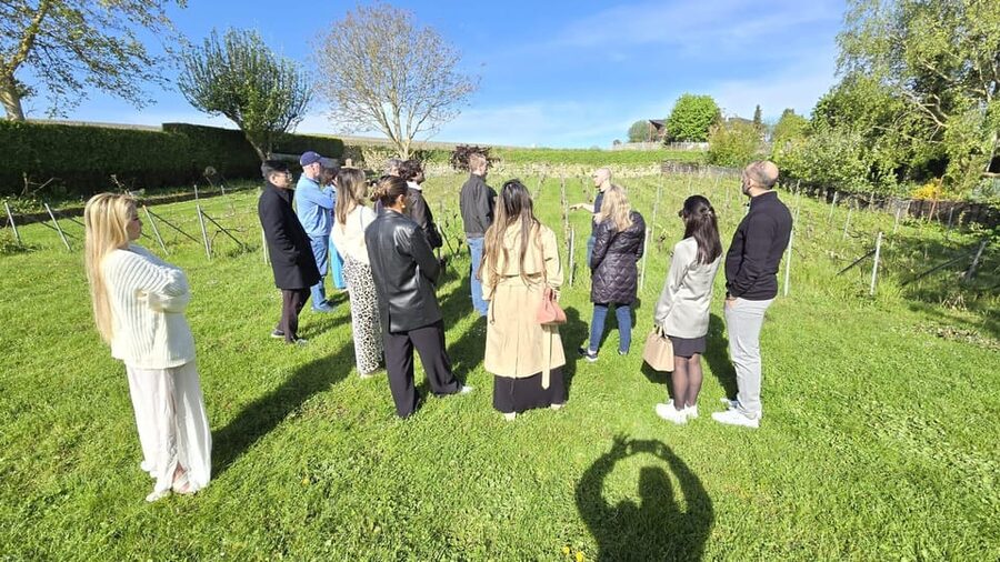 Champagne Vineyard Experience: Delve into the terroir - Price and value for $28 in Grand Est