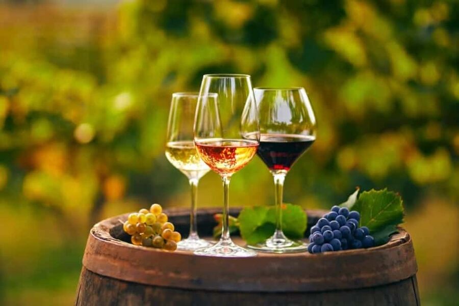 Chania Area: Food Tasting Tour with Winery Visit - The Vouves Ancient Olive Tree: where the day earns your attention fast