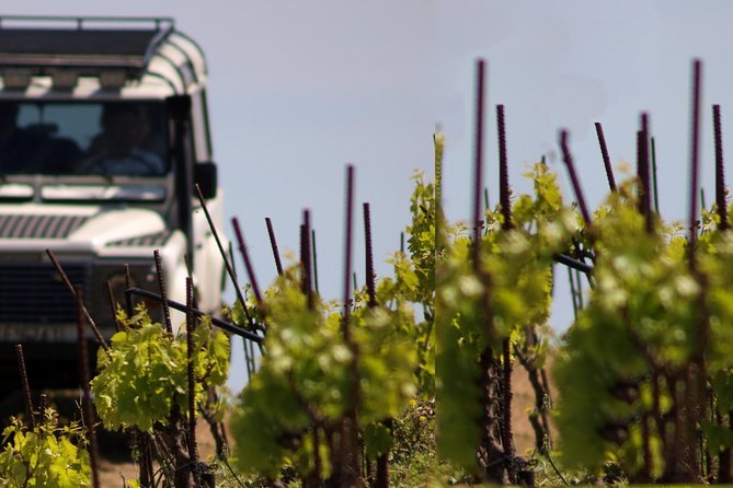 Chania Shore Excursion Off Road Vineyard and Winery Tour Half Day - A Half-Day Chania Wine Trip That Feels Like Crete, Not a Script