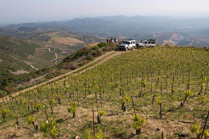 Chania Shore Excursion Off Road Vineyard and Winery Tour Half Day - The 4×4 Vatolakos Hills Ride: Fast Views, Real Bumps
