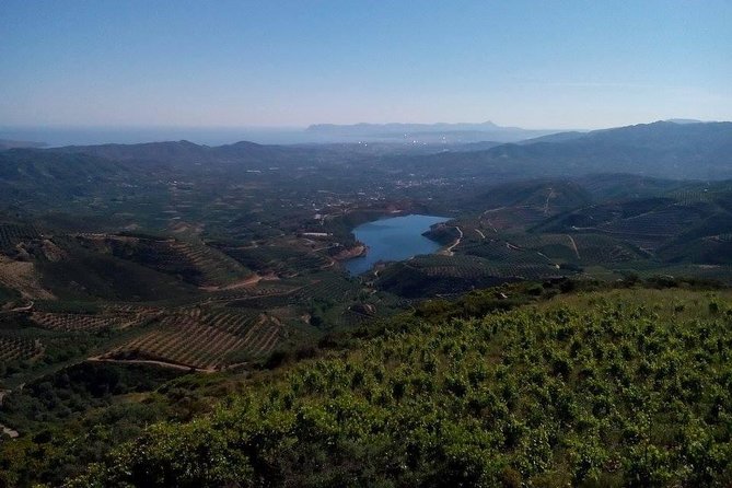 Chania Shore Excursion Off Road Vineyard and Winery Tour Half Day - Off-Road and Wine in One Day: When This Matches Your Style
