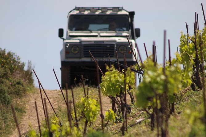 Chania Shore Excursion Off Road Vineyard and Winery Tour Half Day - Price and Value: What $107.17 Covers (and What It Doesn’t)