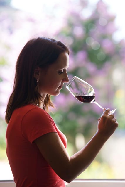 Château Olivier: One Hour Vineyard Tour with Wine Tasting - Walking through 220 hectares: what you’ll notice beyond the vines