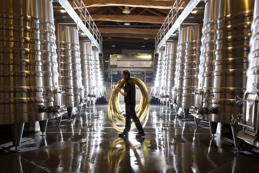 Château Olivier: One Hour Vineyard Tour with Wine Tasting - The De Bethmann family approach: conservation you can actually understand