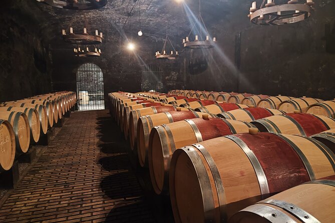 Chateauneuf du Pape and Luberon vineyard tour from Avignon - The Avignon start: getting moving by 8:30