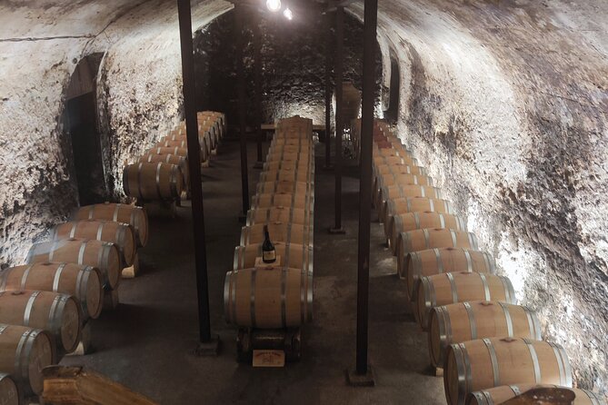 Chateauneuf du Pape and Luberon vineyard tour from Avignon - The Luberon wine estate: terroir talk and Provence rosé