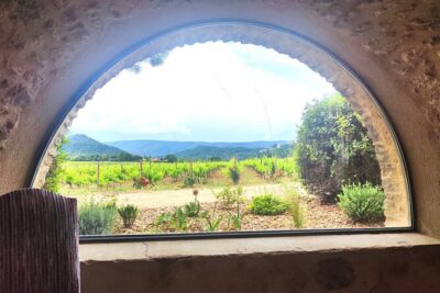 Chateauneuf du Pape and Luberon vineyard tour from Avignon - Châteauneuf-du-Pape: wine tasting plus castle ruins time