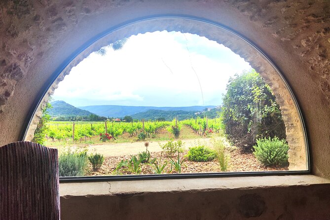 Chateauneuf du Pape and Luberon vineyard tour from Avignon - Châteauneuf-du-Pape: wine tasting plus castle ruins time