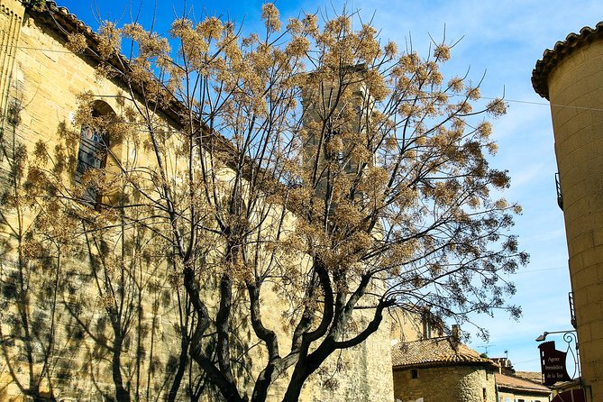 Châteauneuf Du Pape intensive vineyard & fine wine experience - Chateau Fortia: cave time and an excellent first tasting