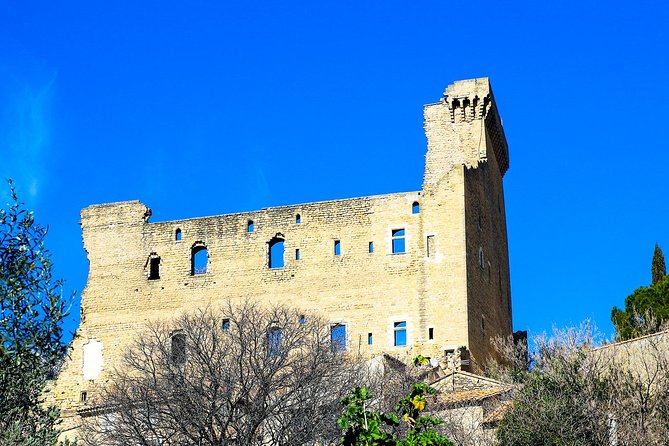 Châteauneuf Du Pape intensive vineyard & fine wine experience - Hotel pickup from Marseille and the calm start at 9:00am