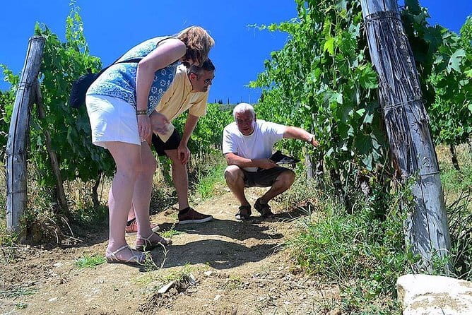 Chianti Classico and Super Tuscan 3 Winery Tour - Key things that make this tour worth your time