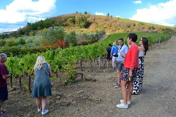 Chianti Classico and Super Tuscan 3 Winery Tour - Small-group comfort: A/C van plus real conversations