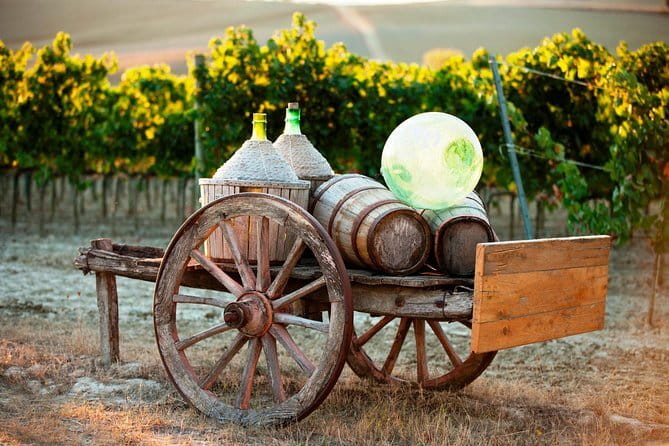 Chianti Delights: A Tale Of Two Wineries With A Vineyard Dinner - Winery stop one in Chianti: cellars, tasting, and the “why” behind Chianti