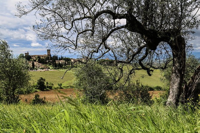 Chianti Delights: A Tale Of Two Wineries With A Vineyard Dinner - Pairing wine like you mean it: Chianti Classico and what to notice