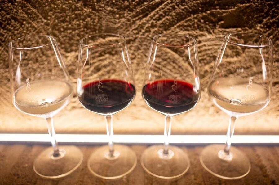 Chianti: Lunch with Wine Tasting at Poggio ai Laghi Winery - Lunch menu: how the food supports the wine (and oils)