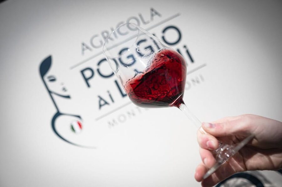 Chianti: Lunch with Wine Tasting at Poggio ai Laghi Winery - Price and value check: is $41 per person a fair deal?