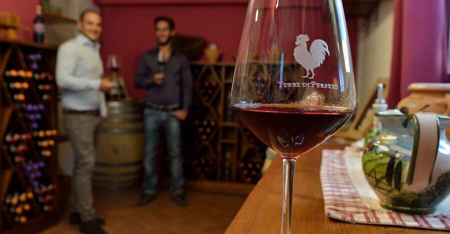 Chianti: Terre Di Perseto Winery Guided Tasting & Tour - First Stop: Meeting Terre di Perseto and Getting Oriented