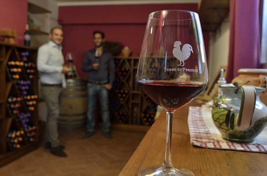 Chianti: Terre Di Perseto Winery Guided Tasting & Tour - The Guided Tasting Room: Four Wines, Clear Explanations, No Guesswork
