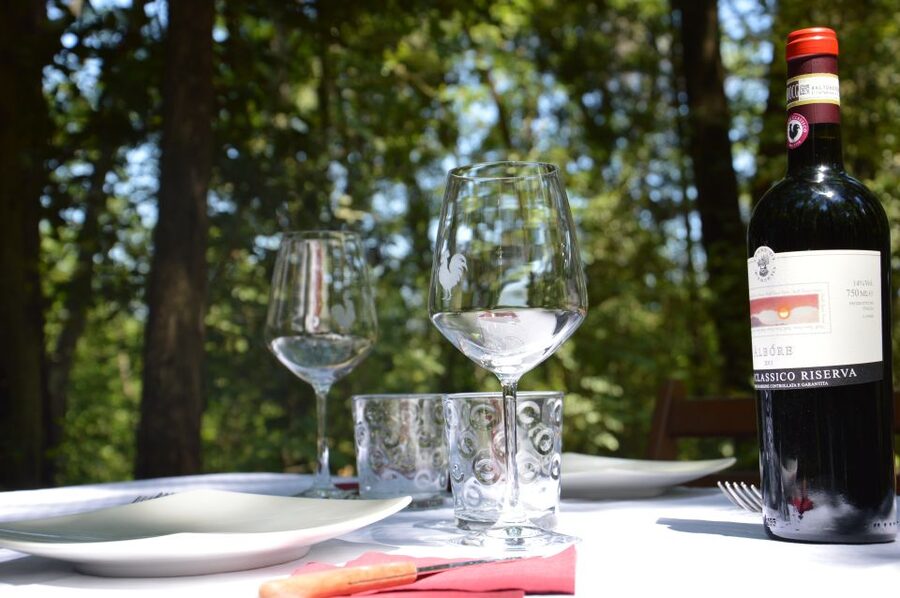 Chianti: Terre Di Perseto Winery Guided Tasting & Tour - What the Four Wines Teach You About Chianti Styles