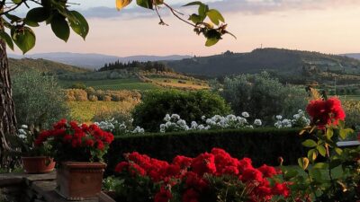 Chianti: Vineyard to Bottle Winery Visit with Tastings - What the cellar tour adds to the Chianti story