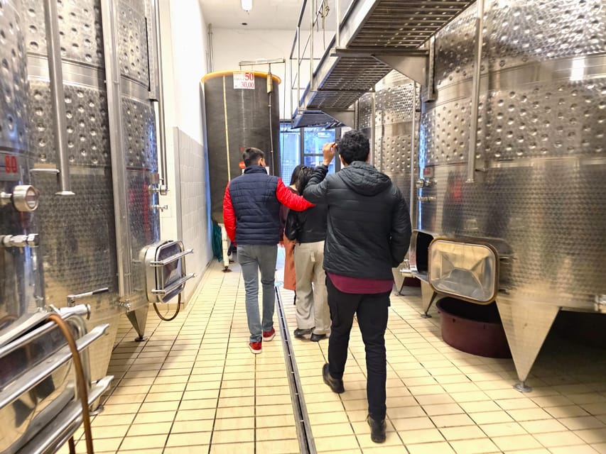 Chianti: Vineyard to Bottle Winery Visit with Tastings - Who this tour fits best (and who might want something else)