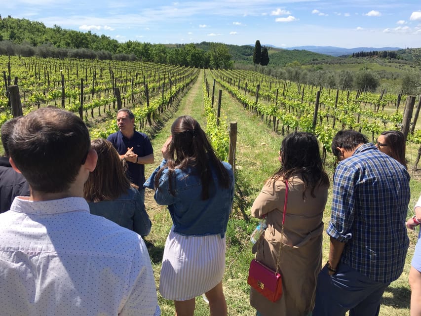 Chianti: Vineyard to Bottle Winery Visit with Tastings - Book it or skip it: my straight advice