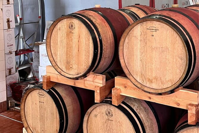 Chianti Winery + Brolio Castle Private Tour - Key highlights worth your attention
