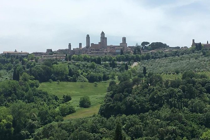 Chianti Wines and San Gimignano Tour from Florence (1 Winery) - Should you book this Chianti and San Gimignano tour?