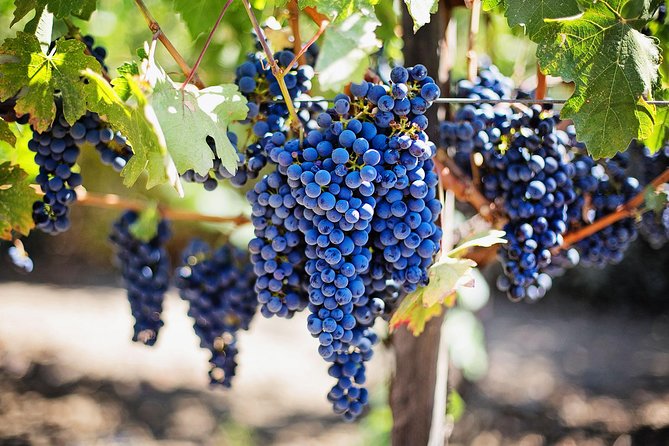 Chisinau City Tour - Cricova Winery - Chisinau’s oddball architecture makes instant sense