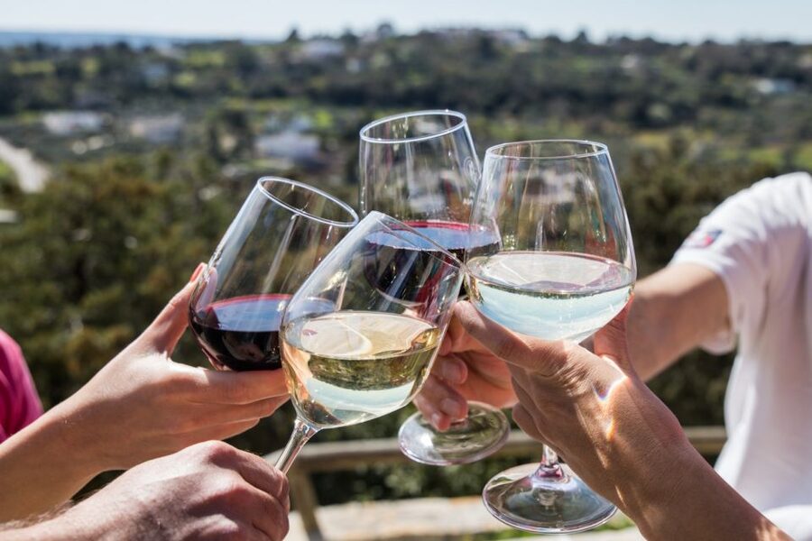 Cisternino: Guided e-bike tour to winery & oil mill - Key things you’ll notice on this tour