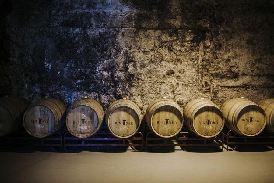Ciutadella de Menorca: Family Winery Tour with Wine Tasting - Key points to know before you go