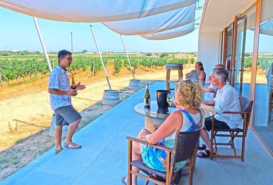 Ciutadella de Menorca: Family Winery Tour with Wine Tasting - Why this Ciutadella winery feels more personal than a big tasting room