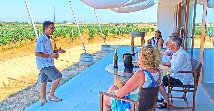 Ciutadella de Menorca: Family Winery Tour with Wine Tasting - The 1-hour flow: what happens from the meeting point to your final sip