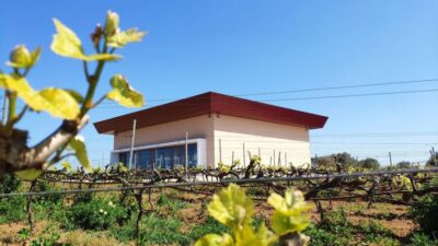 Ciutadella de Menorca: Family Winery Tour with Wine Tasting - Getting there and picking the right language time in each season