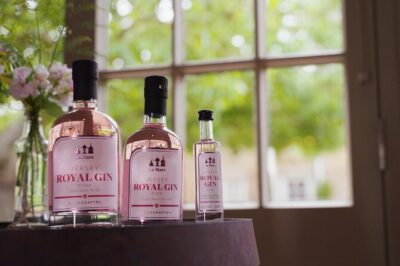 Classic Vineyard Distillery Tour and Tasting Experience in Jersey - Stop 1 at La Mare: vineyards, winery walk-through, and the cider opener