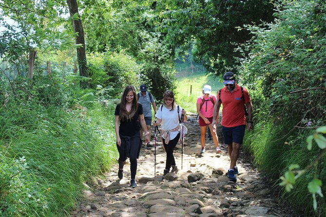 Coastal "Winery Camino Trail" Walking Tour from San Sebastian - Zarautz beach and medieval town time: a warm, scenic opening
