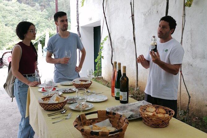Coastal "Winery Camino Trail" Walking Tour from San Sebastian - Txakoli winery stop: wine tasting with local tuna pairing
