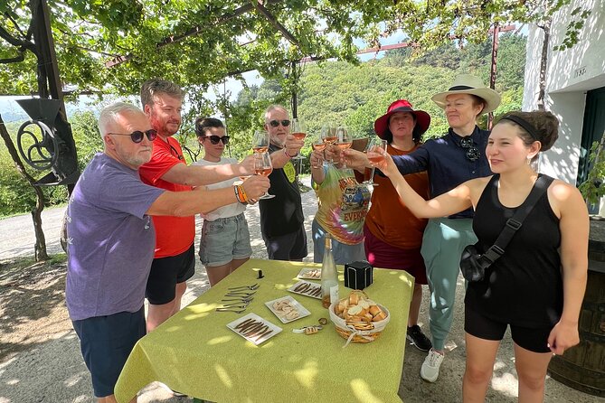 Coastal "Winery Camino Trail" Walking Tour from San Sebastian - Price and value: what $192.23 buys you in real terms